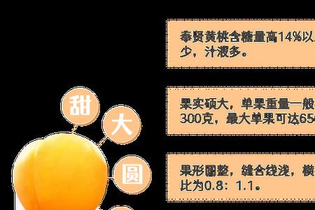 6月黄桃甜度如何