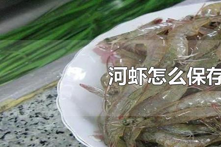 河虾怎么保存能活2天