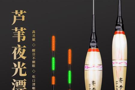 电子漂和芦苇漂和纳米漂哪个好