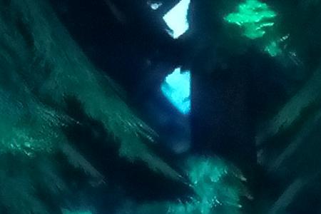 熊出没毛毛为什么头上有两个角