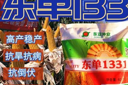 东单1971玉米种介绍