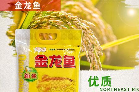 大米和鲤鱼哪个好