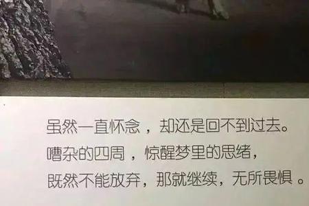 小孩子阳光洒脱文案