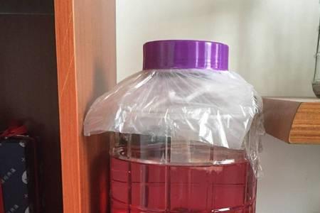 泡酒发酵多久要排气