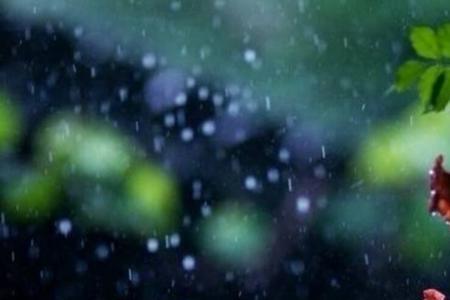 形容秋夜下雨变凉的诗句