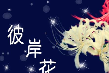 彼岸花的传说起源于什么年代