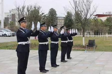 指挥车辆停车标准手势