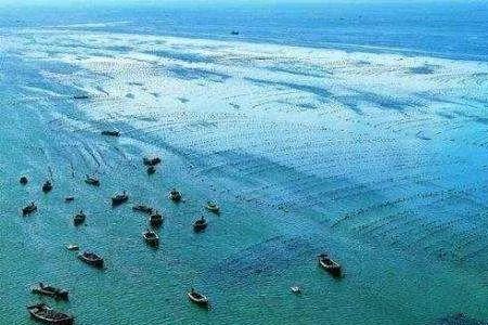 水上养殖项目有哪些