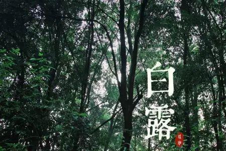 质傲清霜色含秋露华寓意