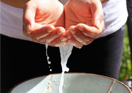 淘米水为什么是白色的