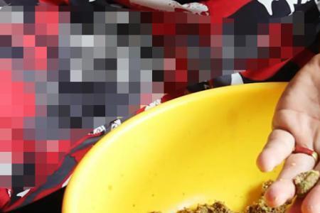 化氏窝子料可以当散炮吗