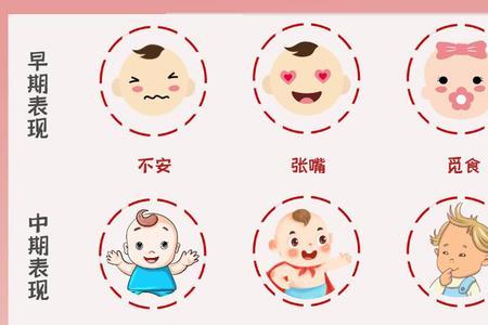 昼夜节律是反射吗