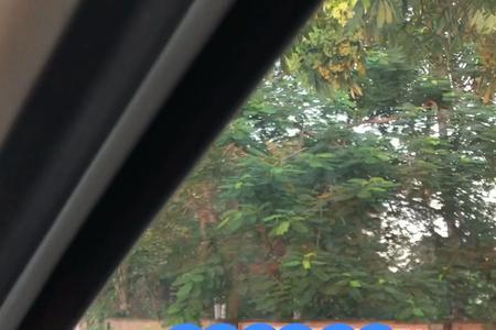 b2倒桩后视镜压线扣分吗