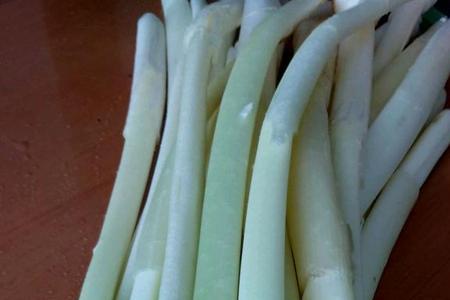 蒲菜根是什么