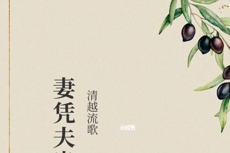 妻凭夫贵什么意思