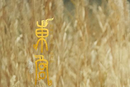 东宫是在东边吗