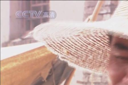 白景琦是回族吗