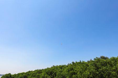 西湾红树林七彩沙池开放了吗