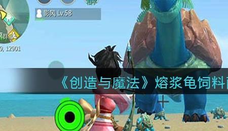 创造与魔法乌龟种类