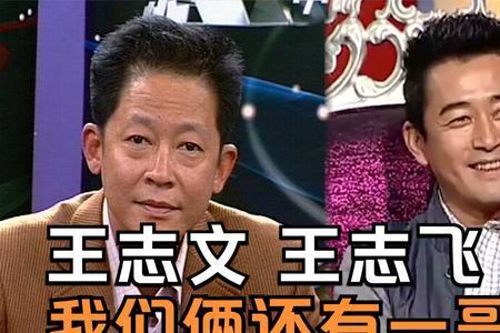 王志文和王志飞谁实力强
