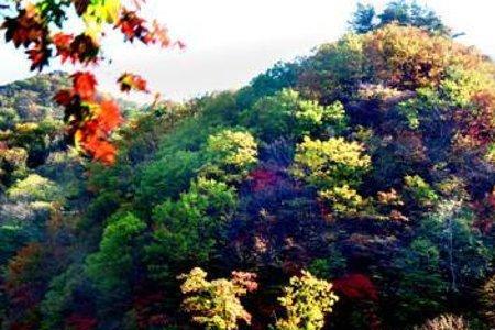 本溪必去的三大景点