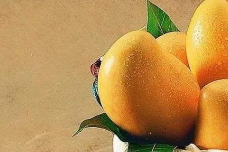 芒果放冰箱3周还是硬的