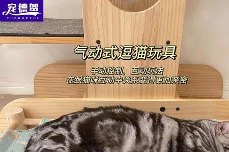 猫管家真的管用吗