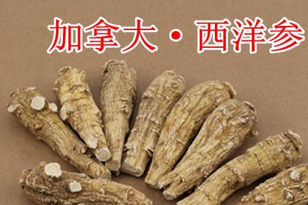 参中段和参尾有什么区别