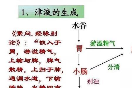 泰斗初次怎么换水
