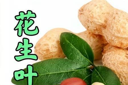 花生叶汁水怎么洗