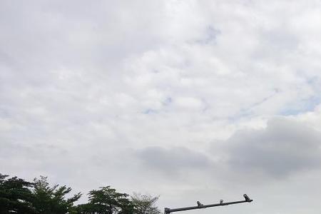 为什么深圳有些高速没有收费站