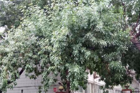 郑州东明路为什么叫东明路