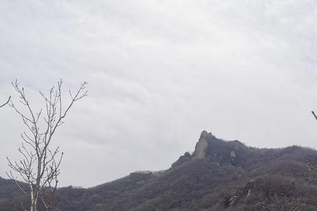 什么是光秃秃的山