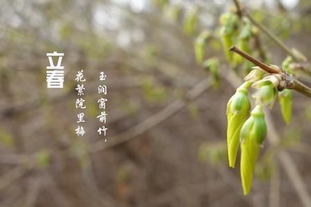 如春风是什么意思