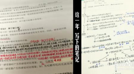 生于其心害于其政出自哪书