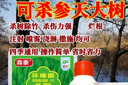环嗪酮可以杀死柑橘树吗