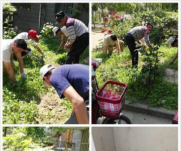 清理小区内私种菜地的方案