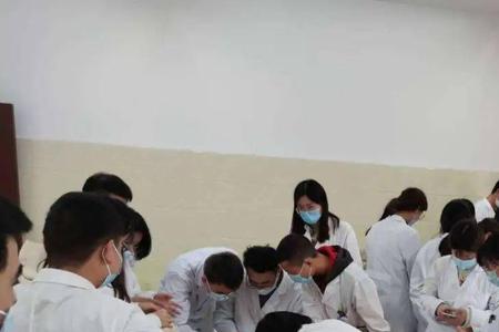 中医护理科实习内容