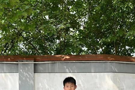 风光正是扬帆时不待扬鞭自奋蹄