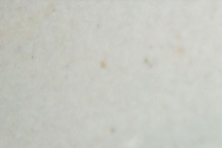 独角仙的角能长多少米