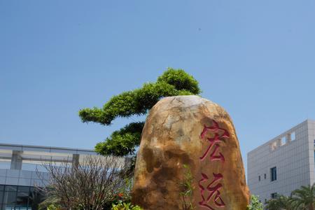 宏远汽车创始人
