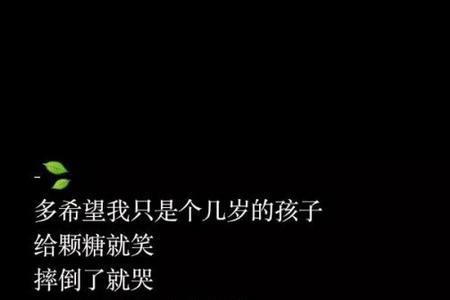 别太认真上一句