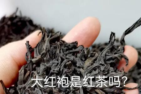 金铜钱岩茶是红茶吗
