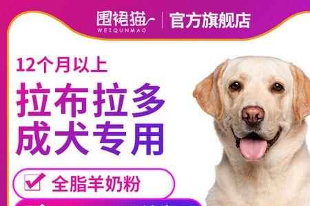 拉布拉多长大了最重多少斤