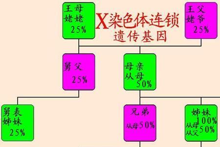 女方配偶父母官方称谓
