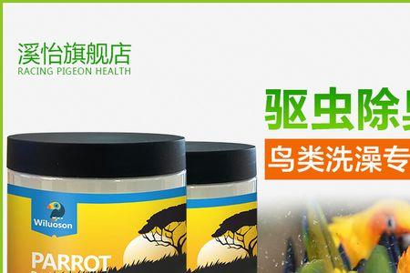 玄凤鸟掉毛后怎么处理