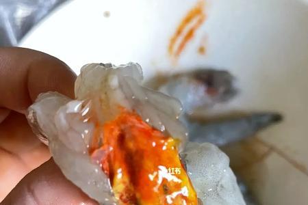 怎样区分虾黄和虾胃