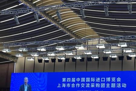 上海进口博览会怎么办理观众证