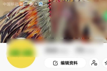 全国有多少人玩快手