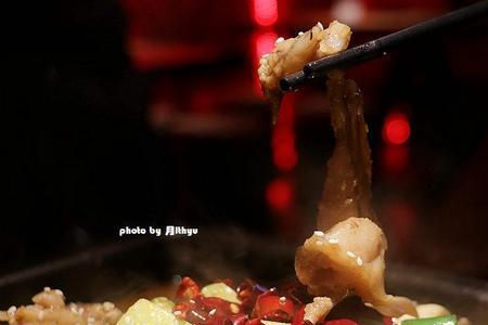 牛蛙喂一餐还是两餐好